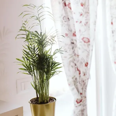Apartment Garden